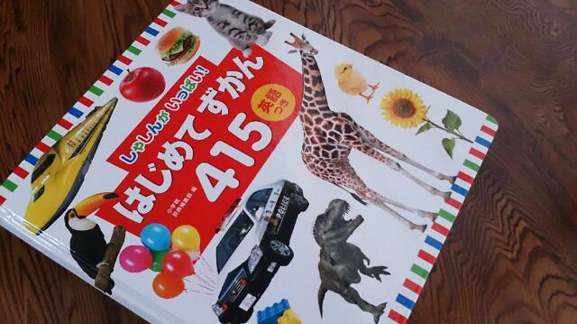 f:id:usako-diary:20180519103945j:plain f:id:usako-diary:20180519103945j:plain