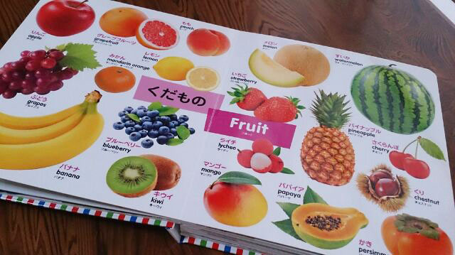 f:id:usako-diary:20180519104327j:plain f:id:usako-diary:20180519104327j:plain