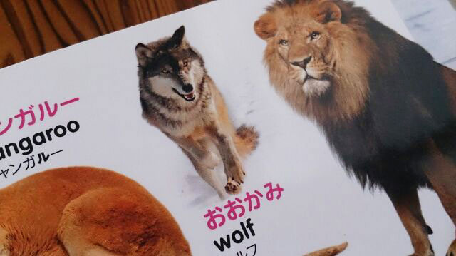 f:id:usako-diary:20180519110920j:plain f:id:usako-diary:20180519110920j:plain