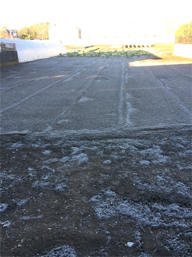 f:id:usako-k249:20170113111140j:image f:id:usako-k249:20170113111140j:image