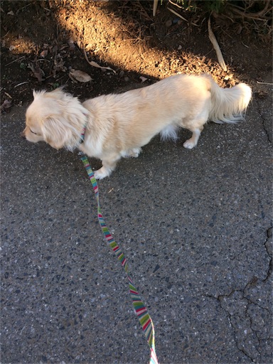 f:id:usako-k249:20170113114208j:image f:id:usako-k249:20170113114208j:image