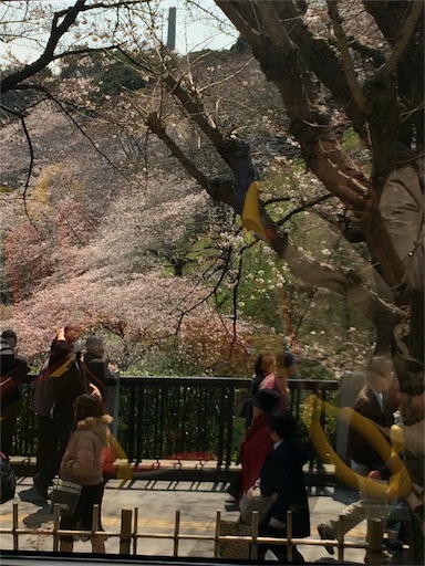f:id:usako-k249:20170406142148j:image f:id:usako-k249:20170406142148j:image