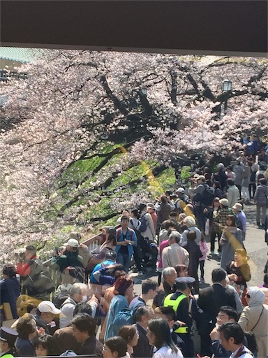 f:id:usako-k249:20170406142221j:image f:id:usako-k249:20170406142221j:image
