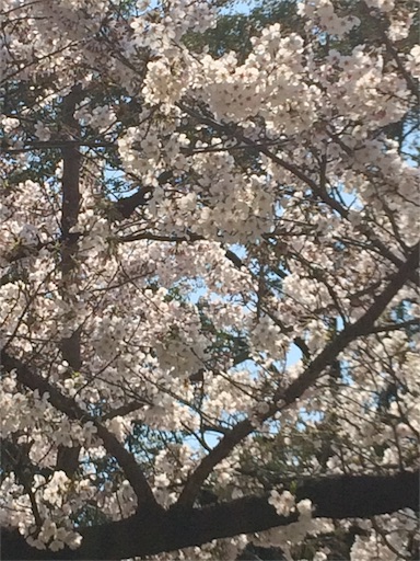 f:id:usako-k249:20170406142240j:image f:id:usako-k249:20170406142240j:image