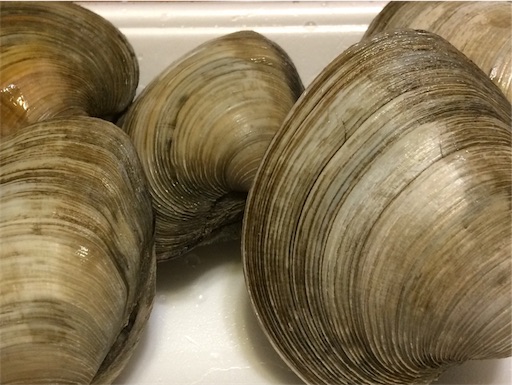 f:id:usako-k249:20180127232540j:image