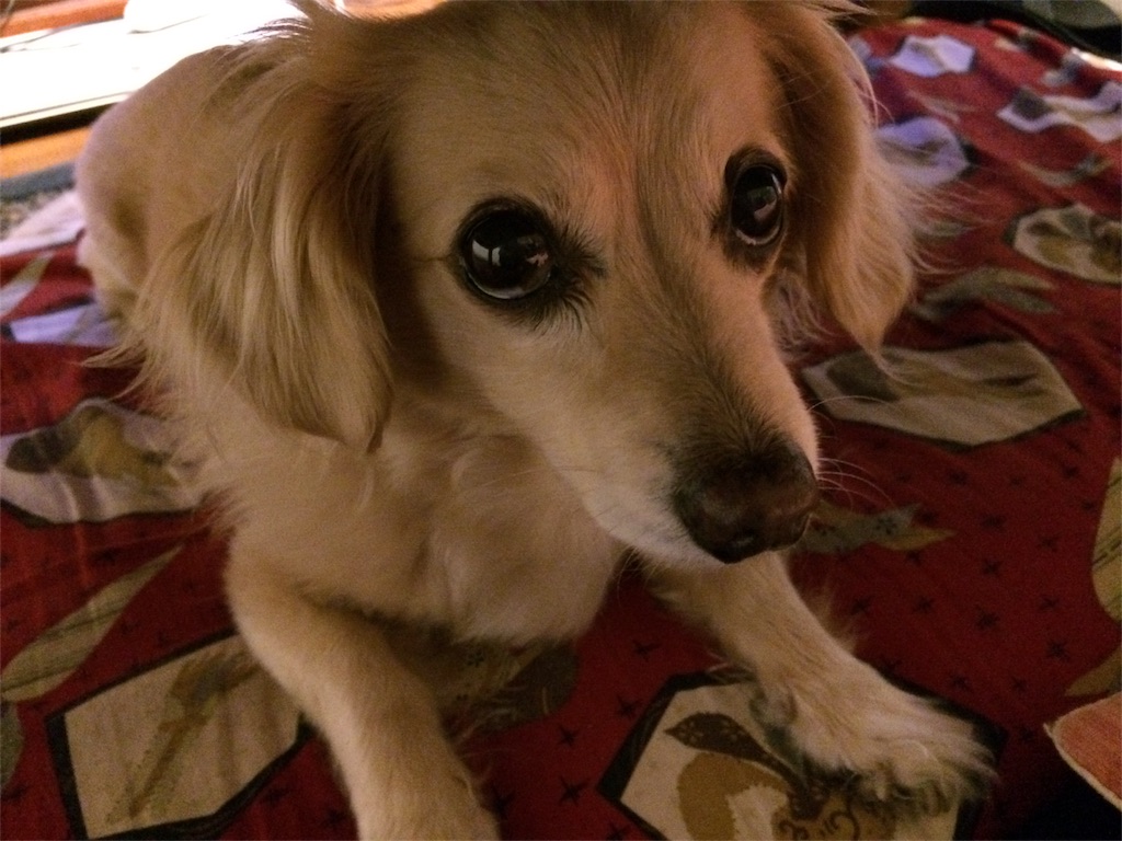 f:id:usako-k249:20180430221601j:image