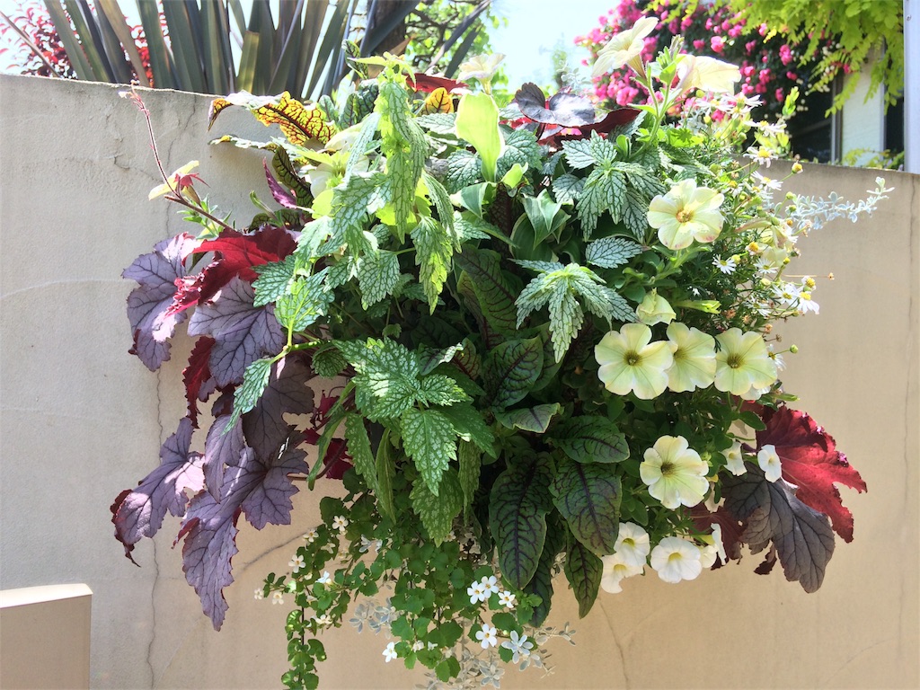 f:id:usako-k249:20180523132353j:image f:id:usako-k249:20180523132353j:image