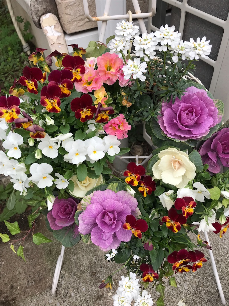 f:id:usako-k249:20181211101447j:image f:id:usako-k249:20181211101447j:image