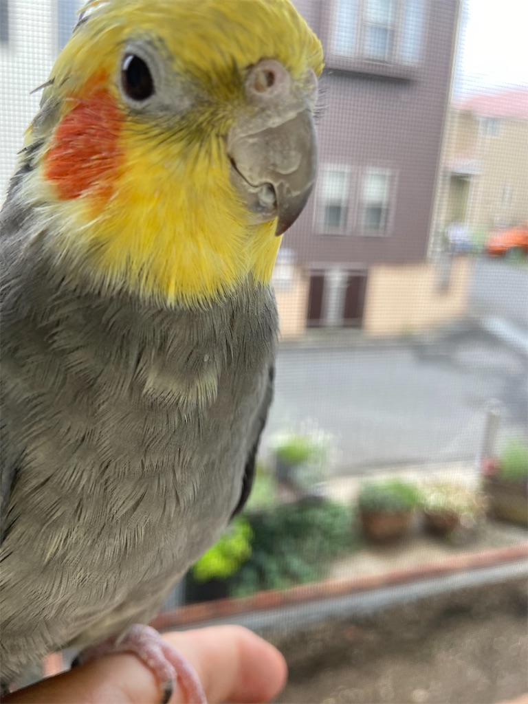f:id:usako-k249:20210714142733j:image