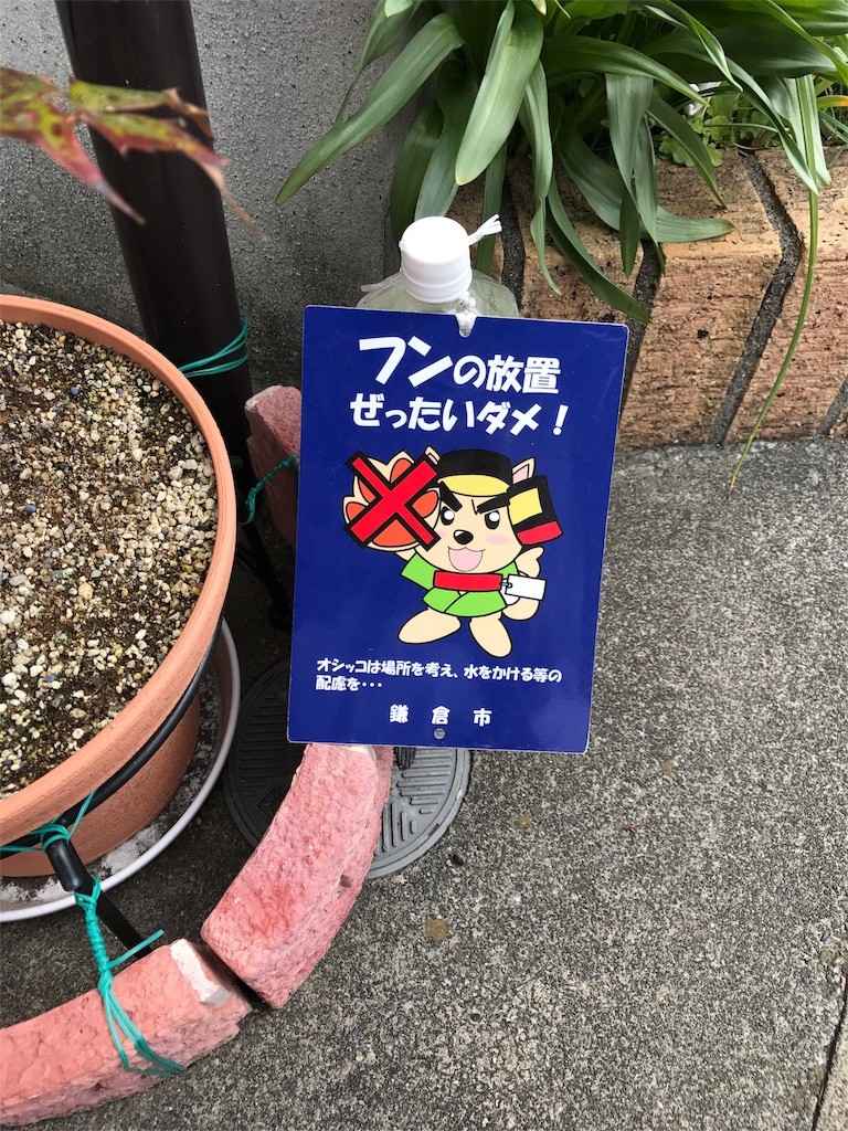 f:id:usakobutyo:20170427231036j:image