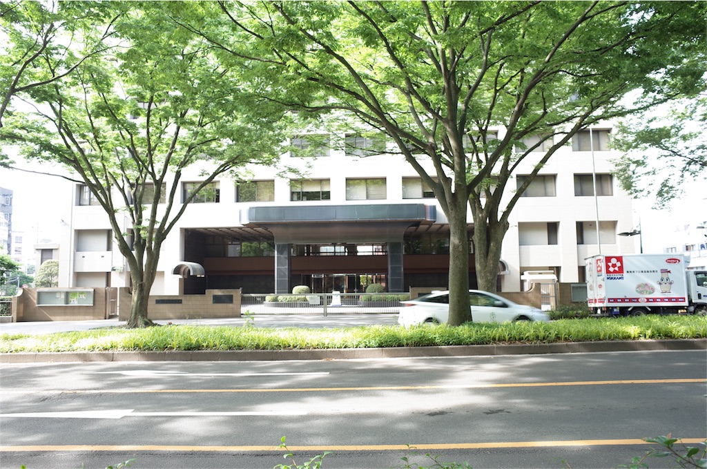 f:id:usakohiroshi242:20180629190730j:image