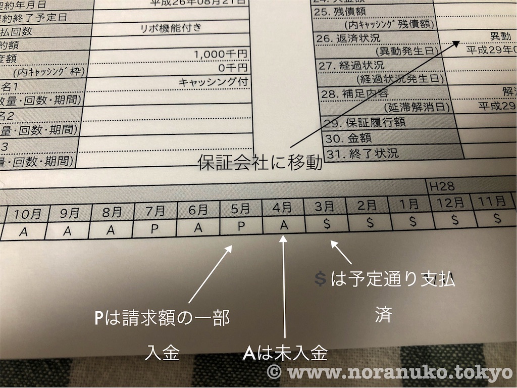 f:id:usakohiroshi242:20190526093224j:image