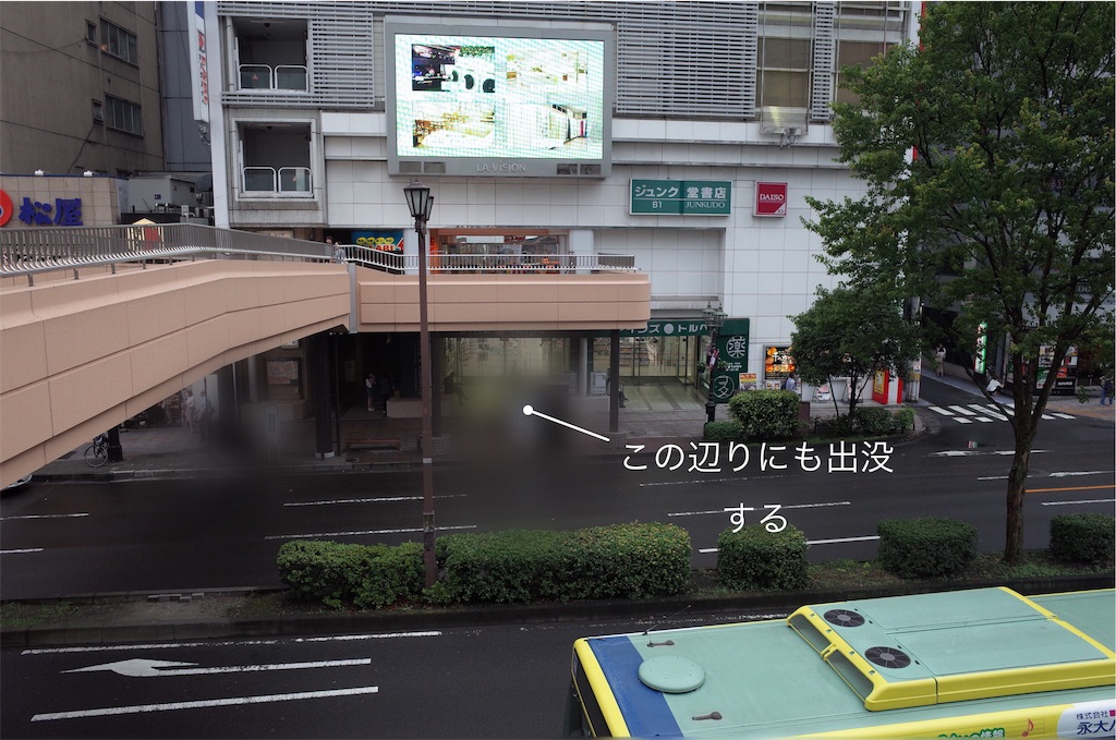 f:id:usakohiroshi242:20190820184419j:image