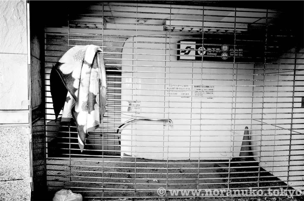 f:id:usakohiroshi242:20191024130718j:image