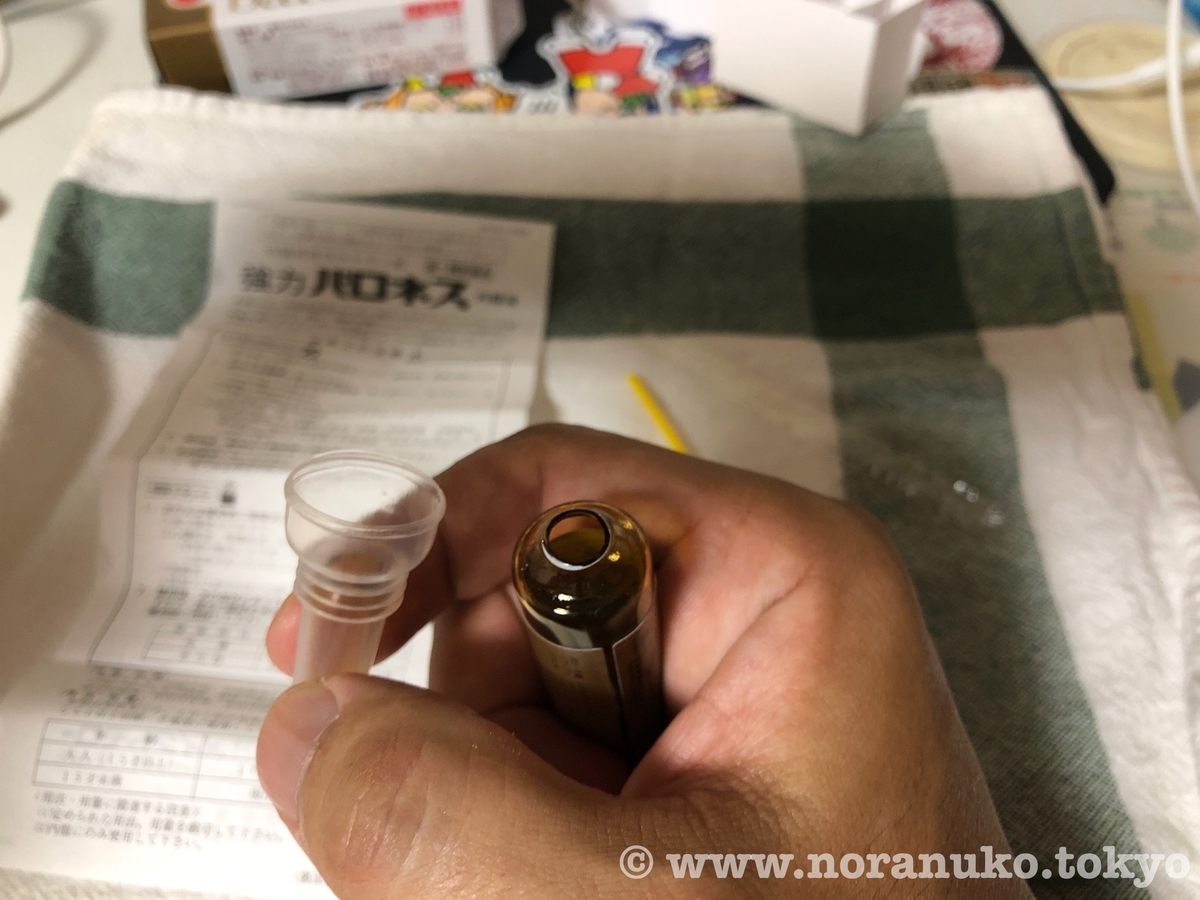 f:id:usakohiroshi242:20191115172230j:plain