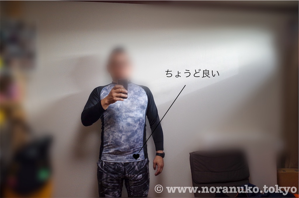 f:id:usakohiroshi242:20191130113335j:image