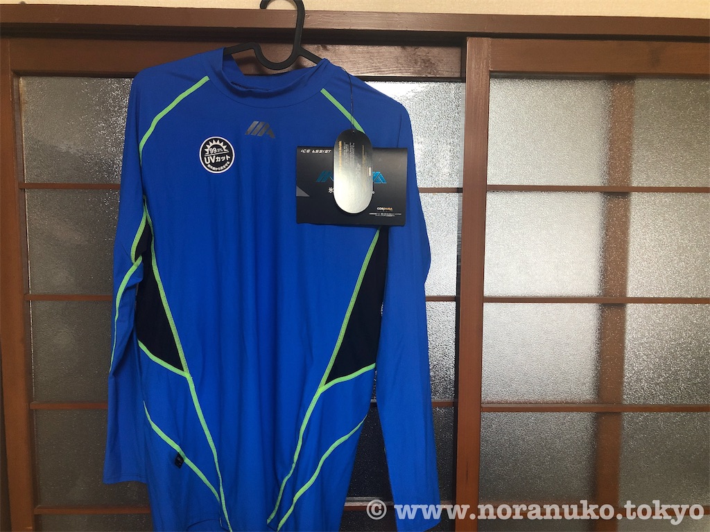 f:id:usakohiroshi242:20191130114743j:image