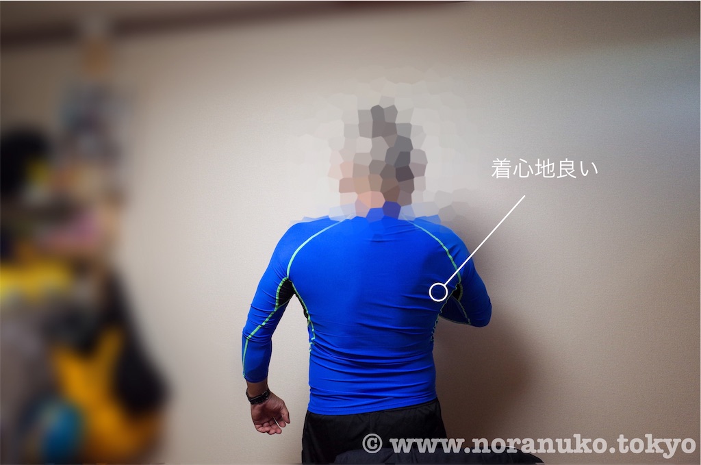 f:id:usakohiroshi242:20191130114753j:image