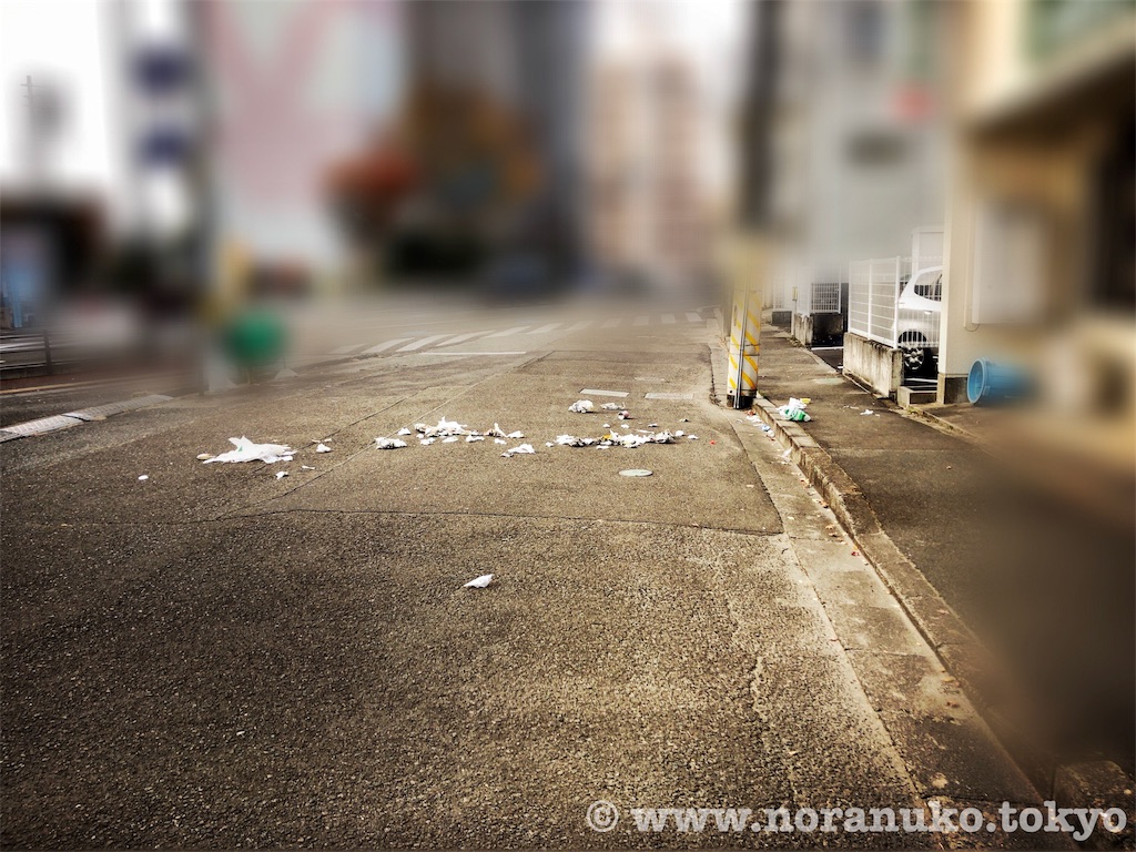 f:id:usakohiroshi242:20191201215350j:image