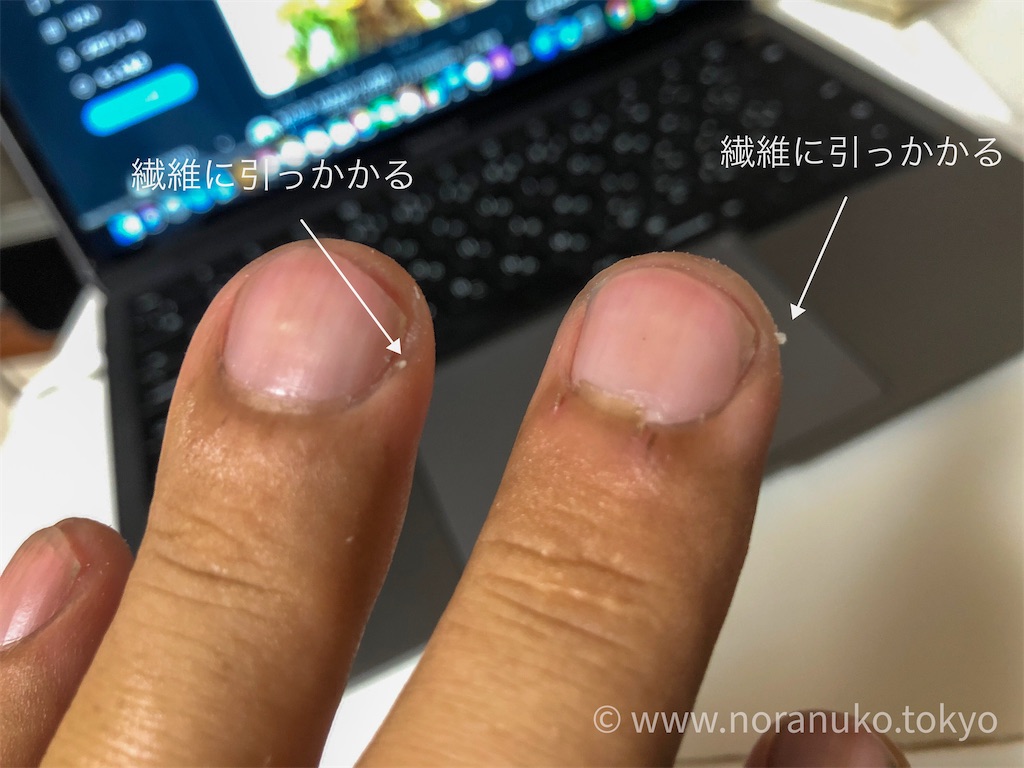 f:id:usakohiroshi242:20200621192343j:image