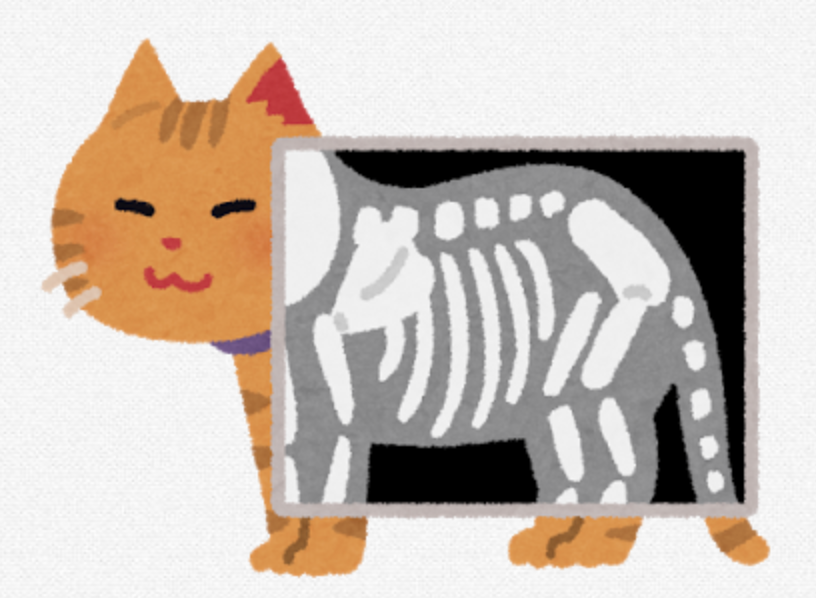 f:id:usakohiroshi242:20200711145651p:plain