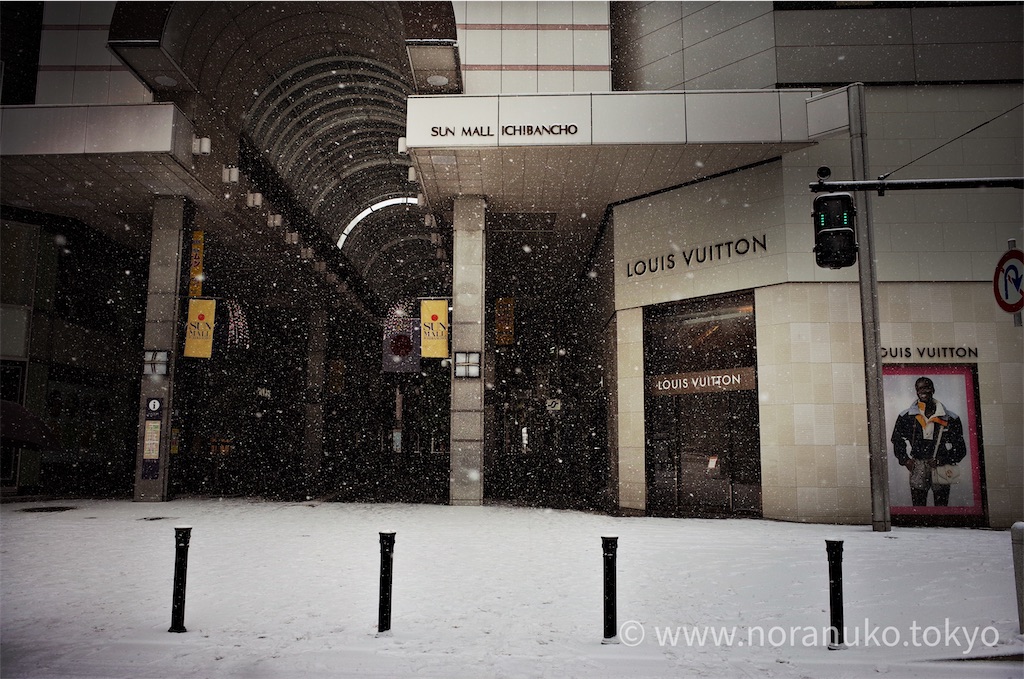 f:id:usakohiroshi242:20210101194042j:image