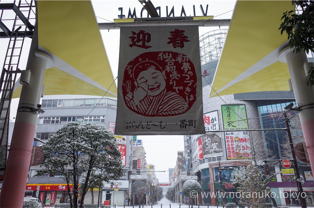 f:id:usakohiroshi242:20210101194137j:image