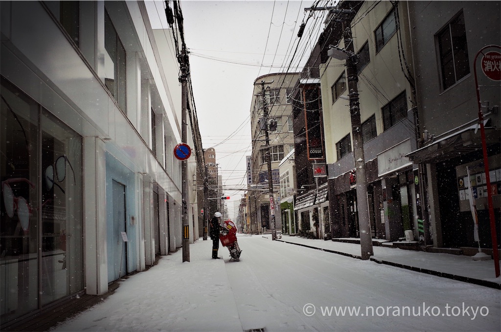 f:id:usakohiroshi242:20210101194317j:image