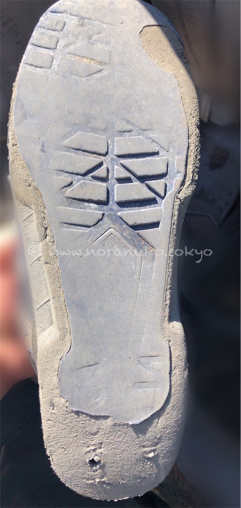 f:id:usakohiroshi242:20210309174558j:image f:id:usakohiroshi242:20210309174558j:image