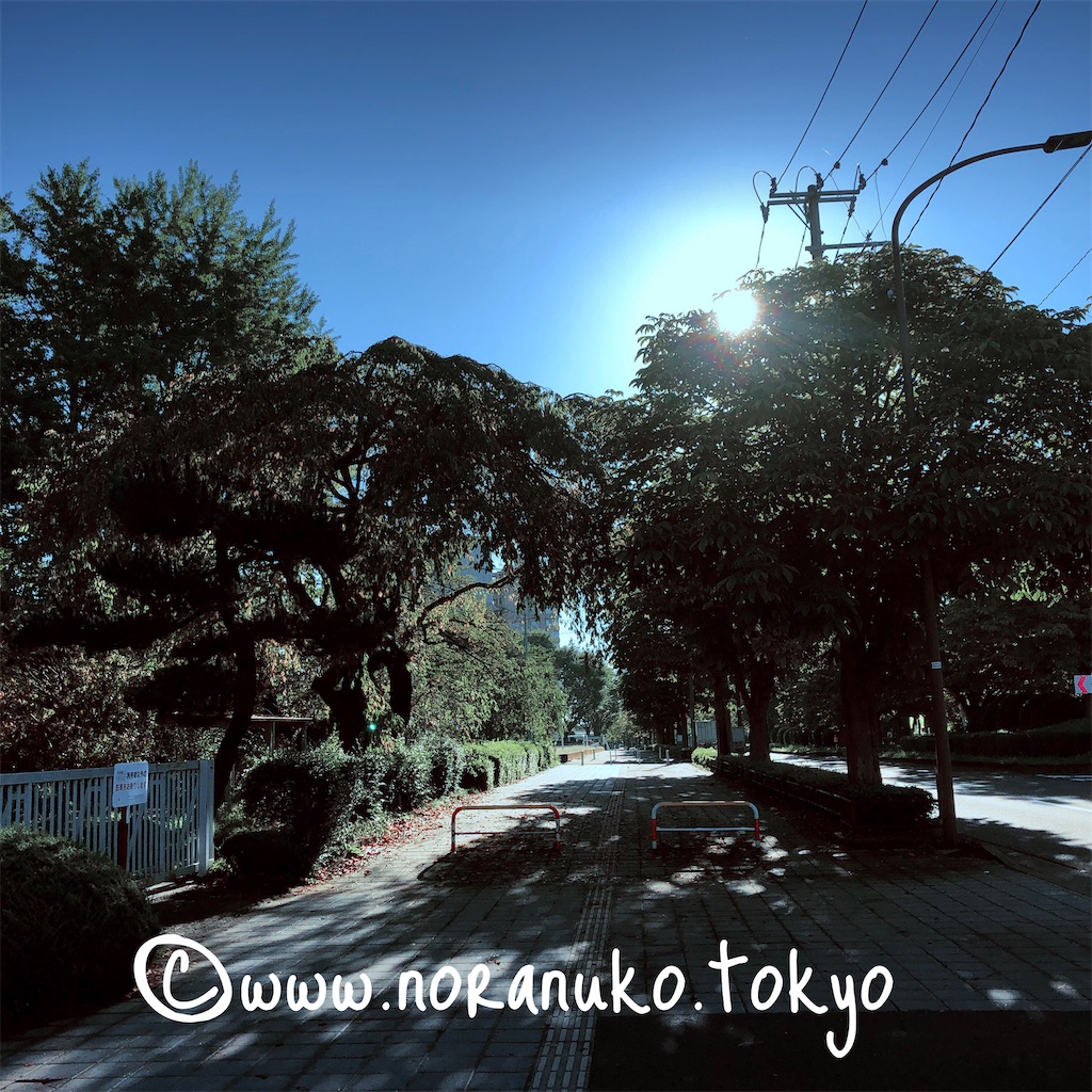 f:id:usakohiroshi242:20210920171613j:image