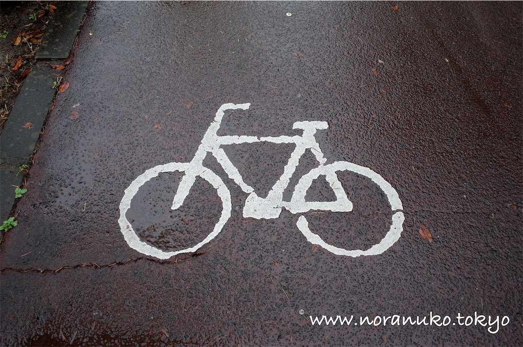 f:id:usakohiroshi242:20211009090924j:image