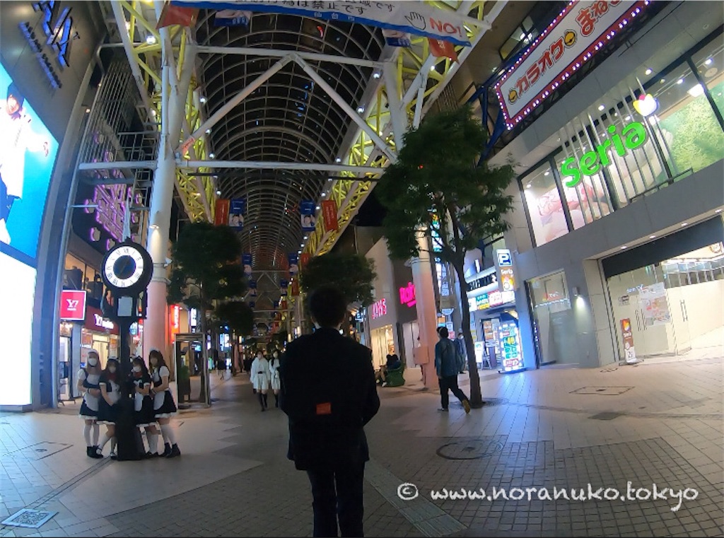 f:id:usakohiroshi242:20211101205905j:image