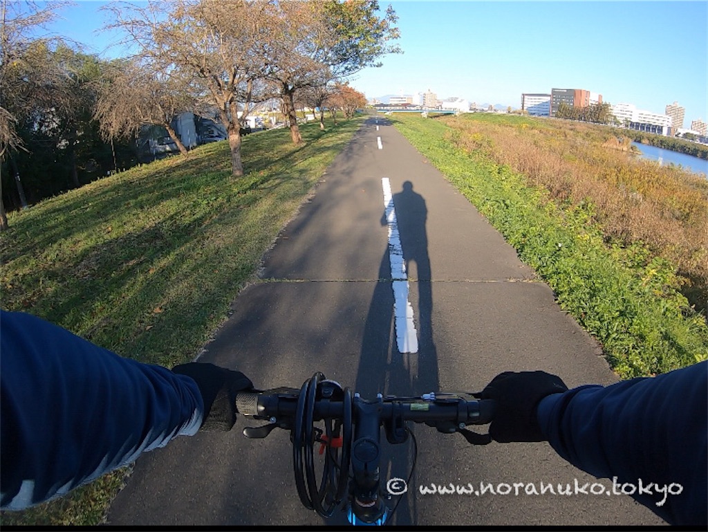 f:id:usakohiroshi242:20211107072913j:image