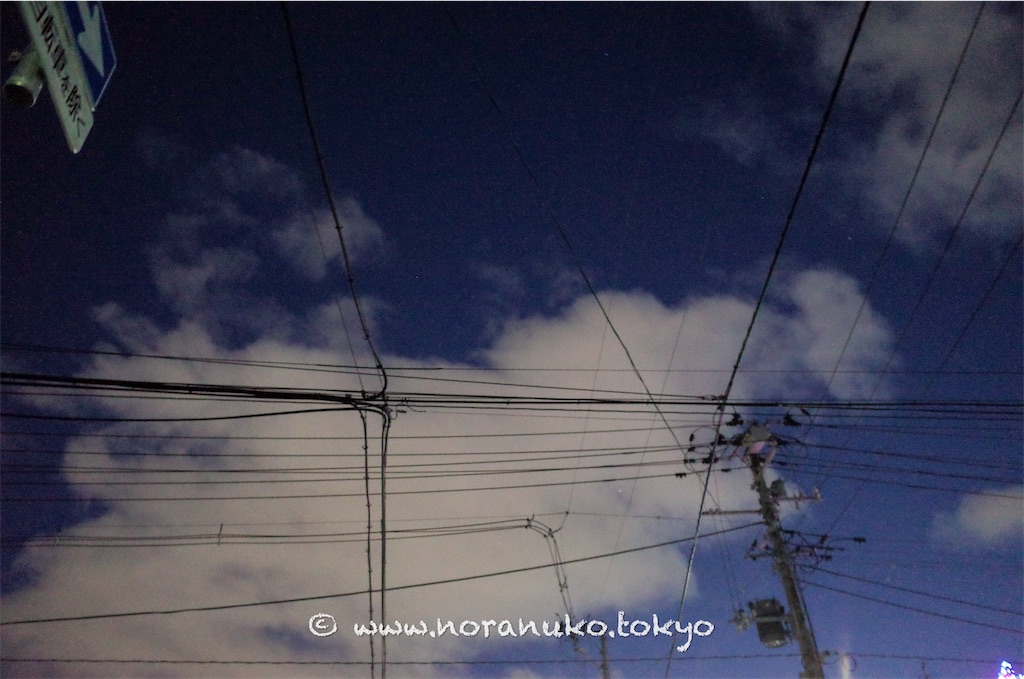 f:id:usakohiroshi242:20220103182518j:image