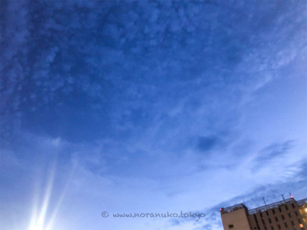 f:id:usakohiroshi242:20220830061048j:image f:id:usakohiroshi242:20220830061048j:image