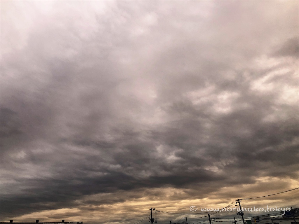 f:id:usakohiroshi242:20221005181848j:image