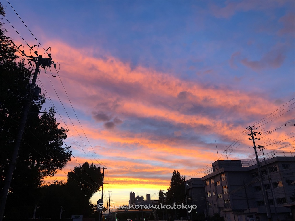 f:id:usakohiroshi242:20221006053813j:image