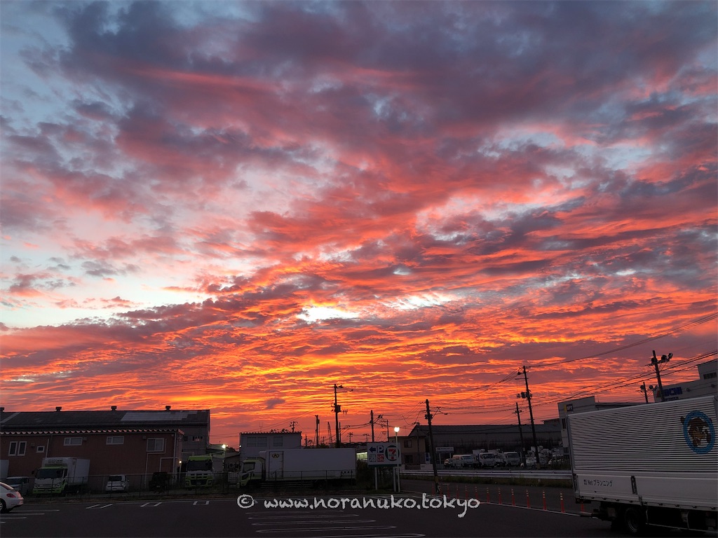 f:id:usakohiroshi242:20221012054527j:image