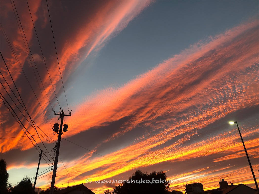 f:id:usakohiroshi242:20221012054545j:image