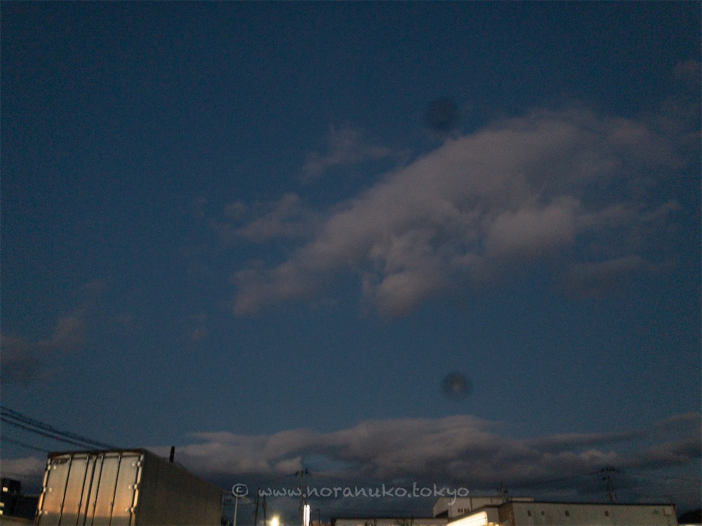 f:id:usakohiroshi242:20221122210900j:image