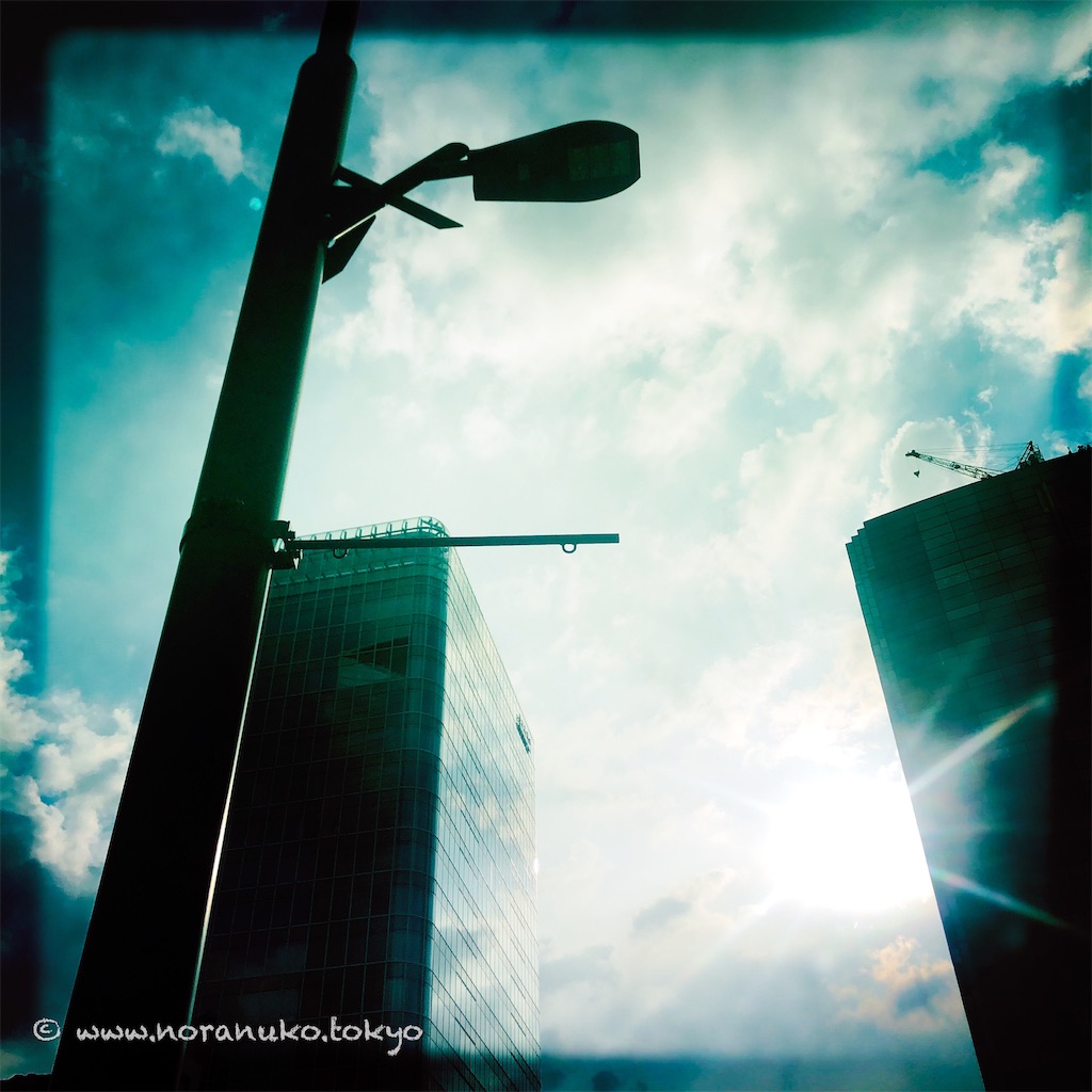 f:id:usakohiroshi242:20230806200521j:image f:id:usakohiroshi242:20230806200521j:image