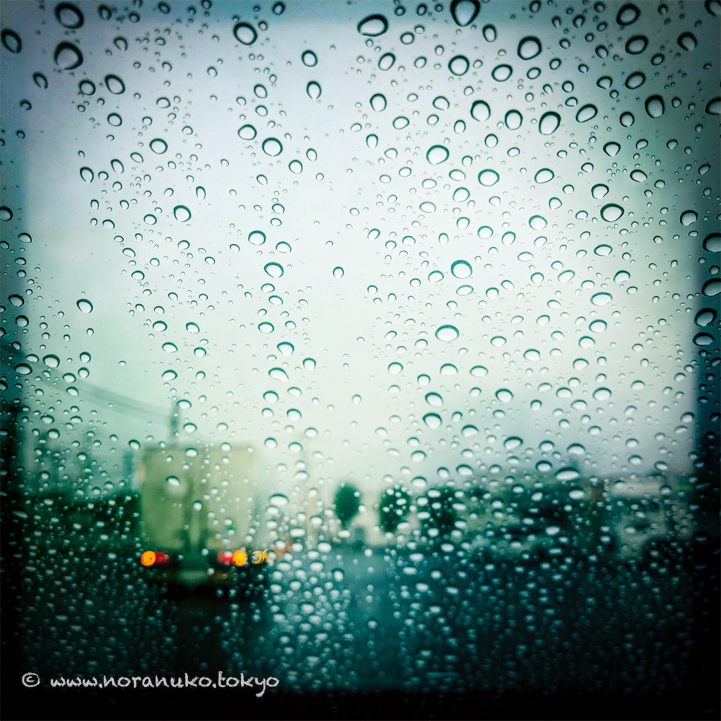 f:id:usakohiroshi242:20230813185225j:image