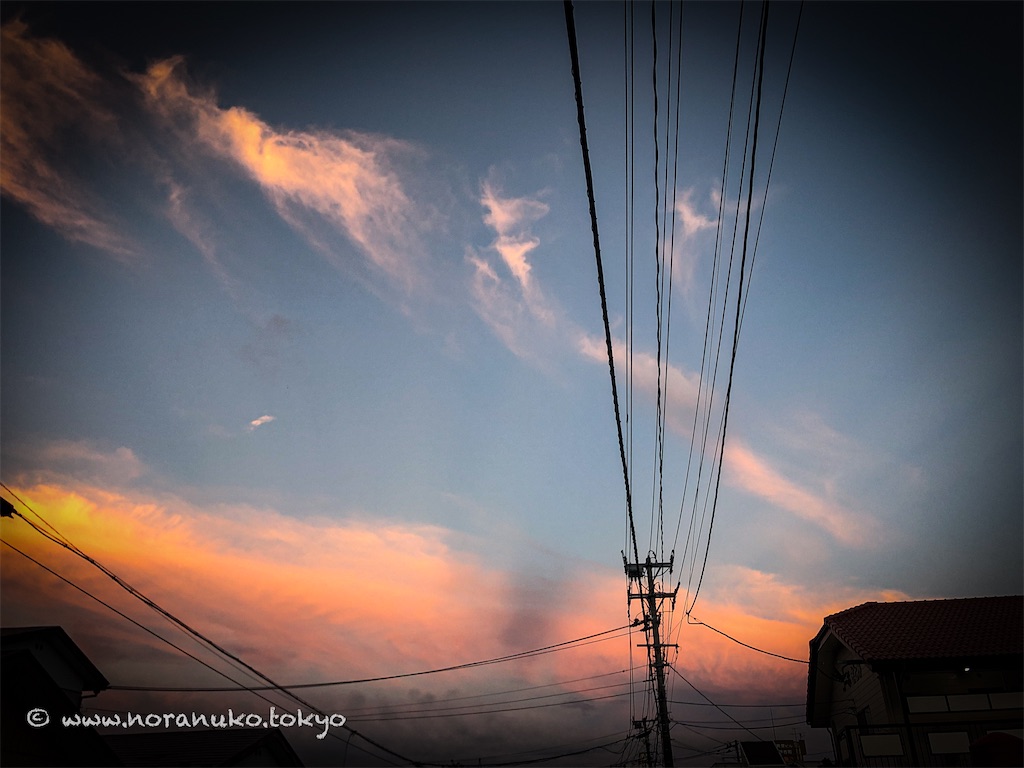 f:id:usakohiroshi242:20230827124018j:image