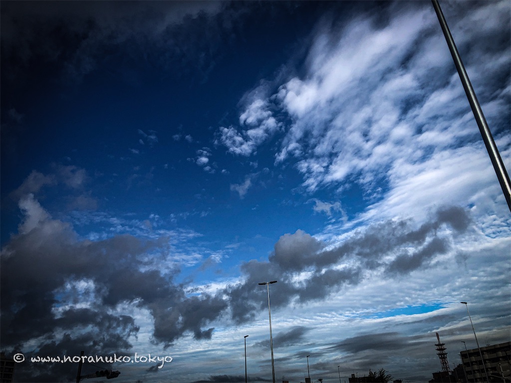 f:id:usakohiroshi242:20230827124039j:image