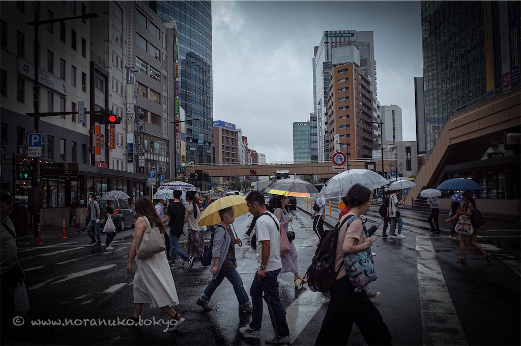 f:id:usakohiroshi242:20230904173621j:image