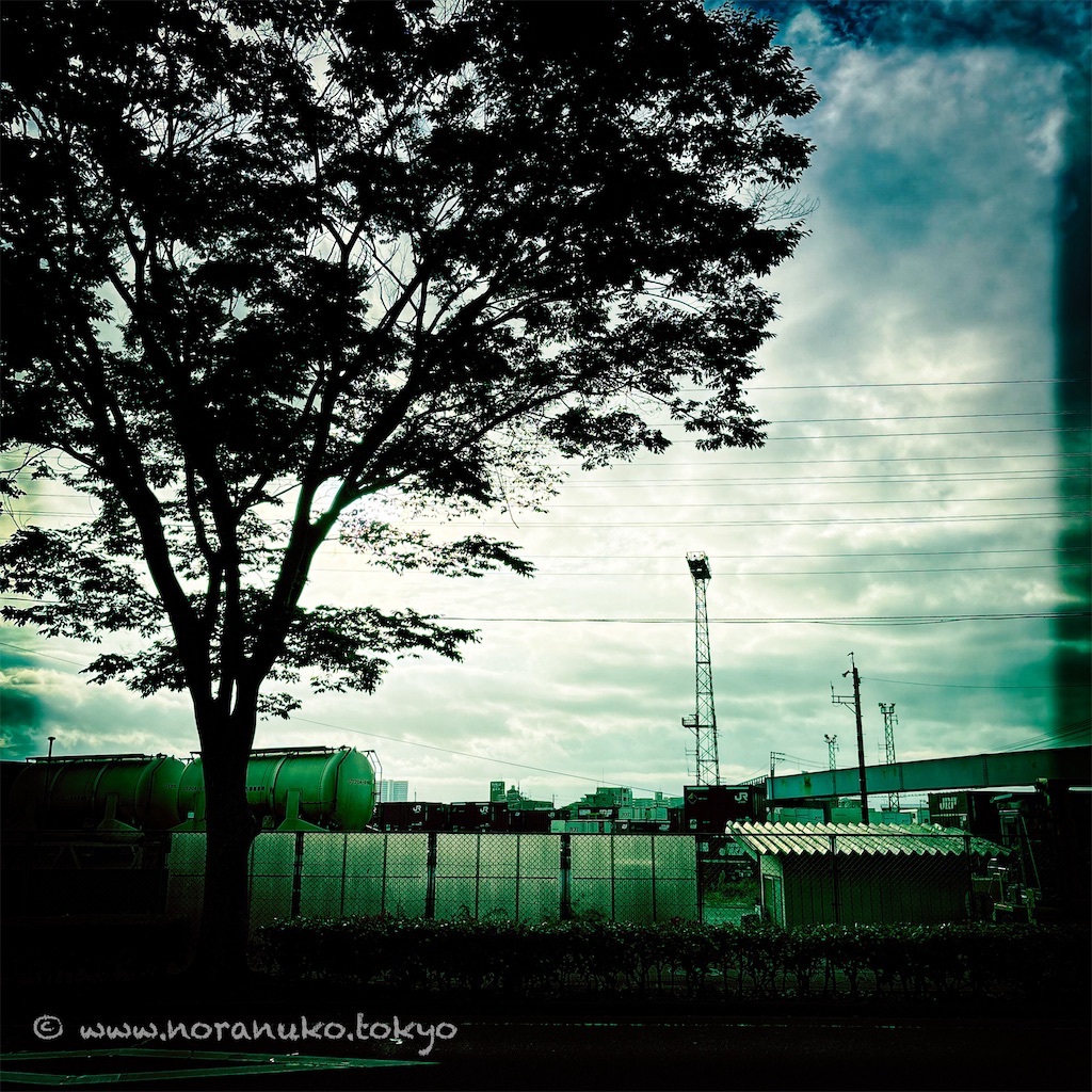 f:id:usakohiroshi242:20230926103307j:image