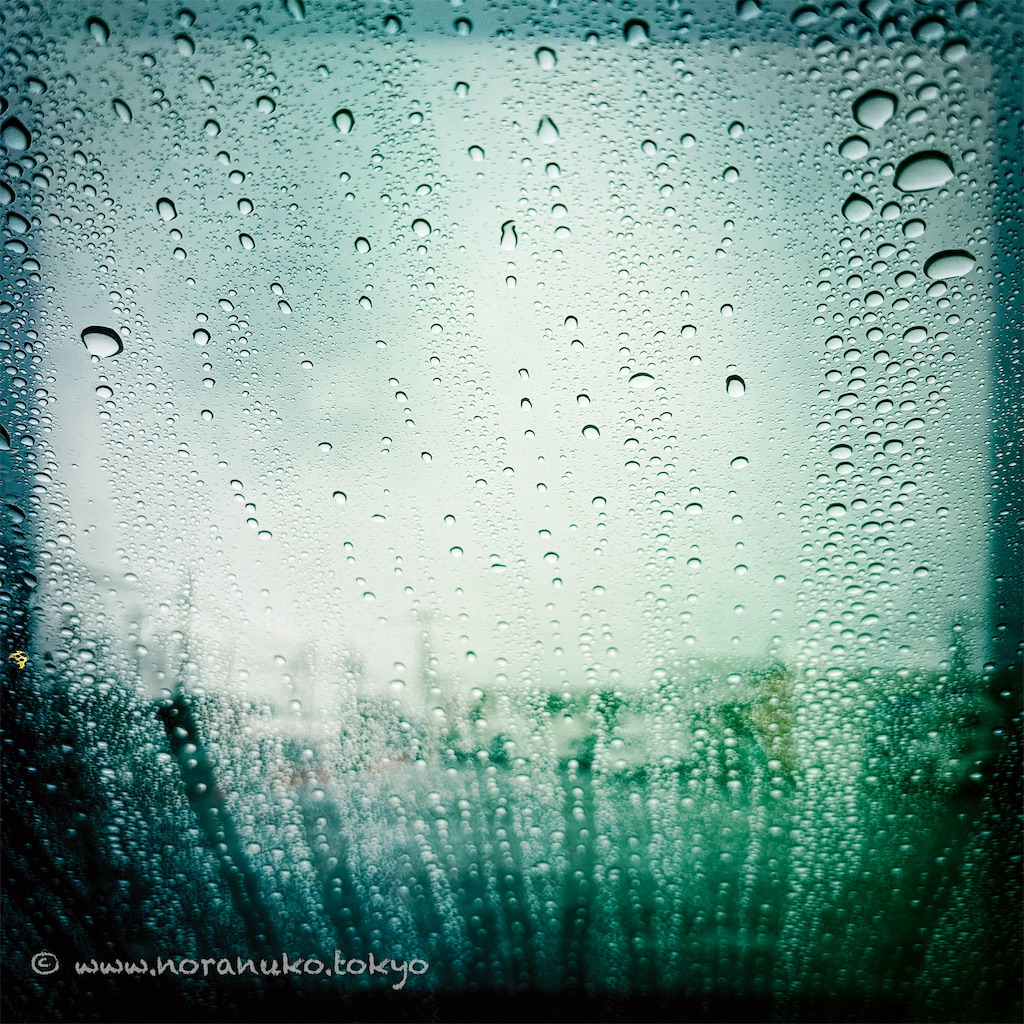 f:id:usakohiroshi242:20230928060205j:image