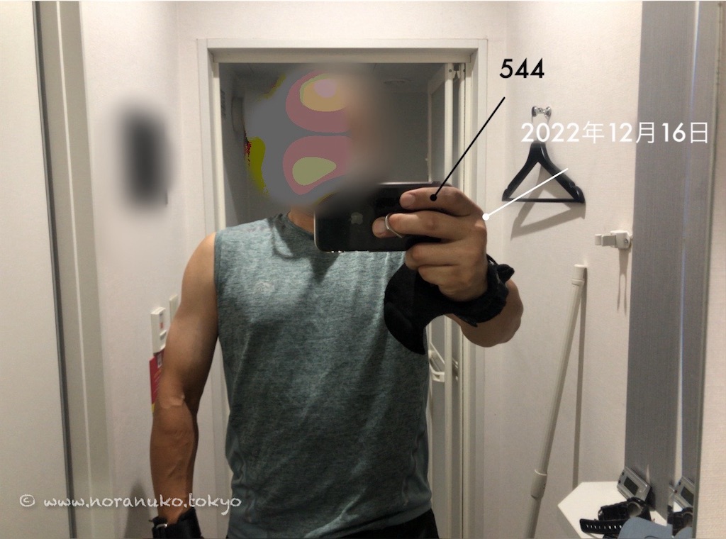 f:id:usakohiroshi242:20231214060857j:image