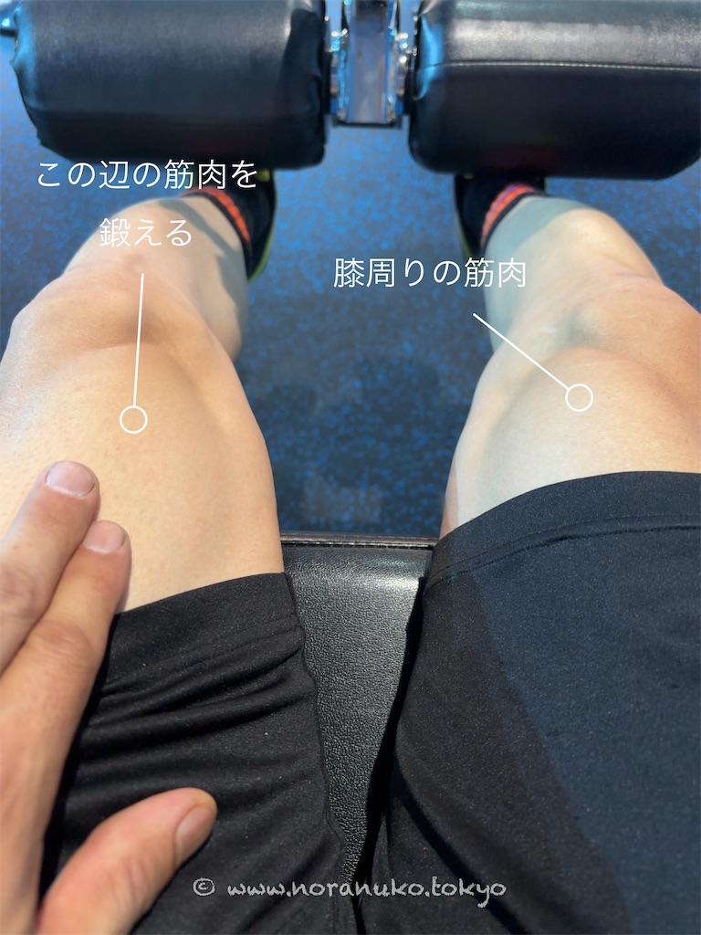 f:id:usakohiroshi242:20231224045104j:image