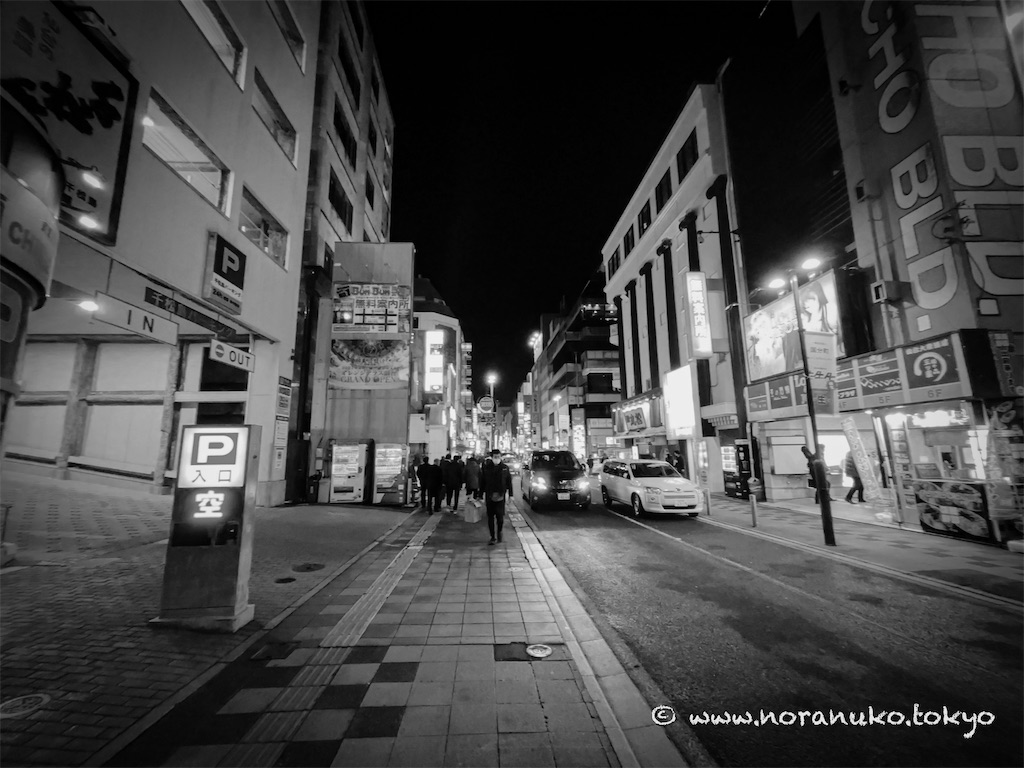 f:id:usakohiroshi242:20240309162228j:image